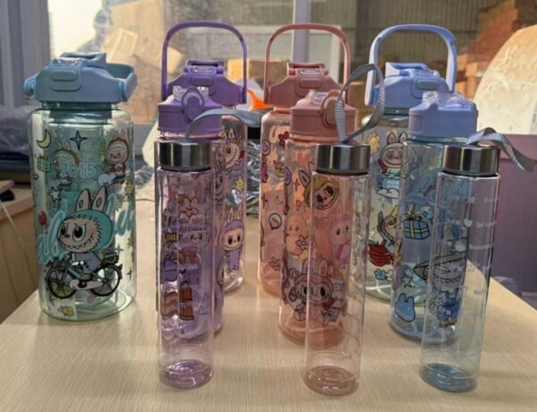 Character 3in1 Water Bottle