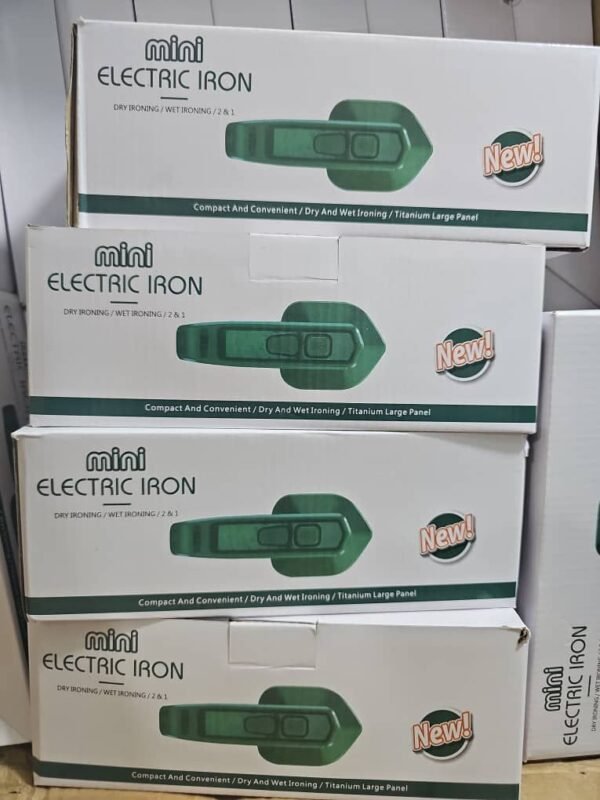 Mini Steam Iron